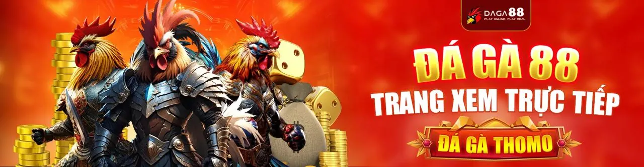 Hình ảnh gà chọi mạnh mẽ, biểu tượng của đá gà trực tuyến SCV2 trang chủ chính thức